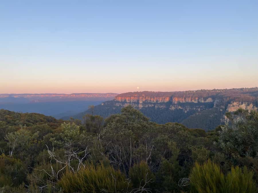 #1 Blue Mountains Tour Scenic World Waterfalls Wildlife Park - Final call: should you book this tour?