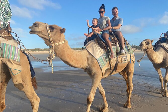 1 Hour Broome Sunset Camel Tour - Quick Key Points Before You Book