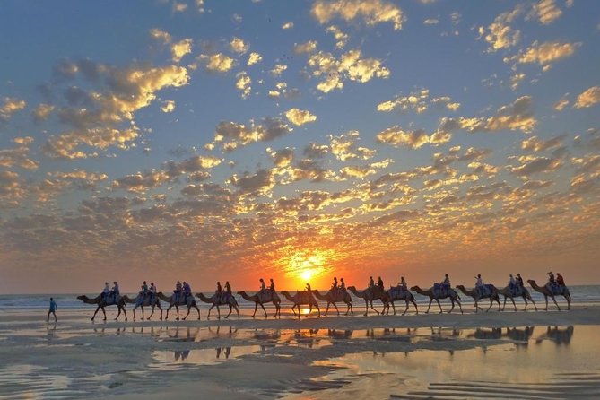 1 Hour Broome Sunset Camel Tour - Cable Beach at Golden Hour From Camelback