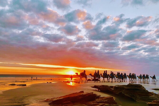 1 Hour Broome Sunset Camel Tour - Camel Comfort, Safety, and the 90 kg Limit