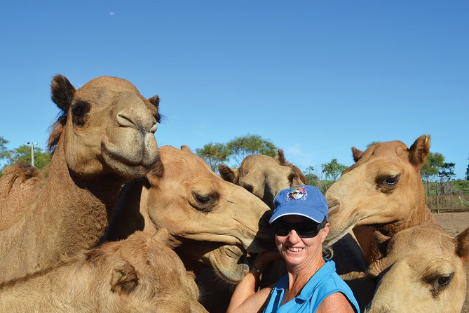 1 Hour Broome Sunset Camel Tour - Staff, Stories, and Those Photo Moments on the Sand