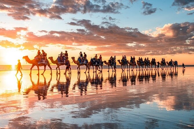 1 Hour Broome Sunset Camel Tour - What’s Included: Carrots, Pearls, and the Value at $125