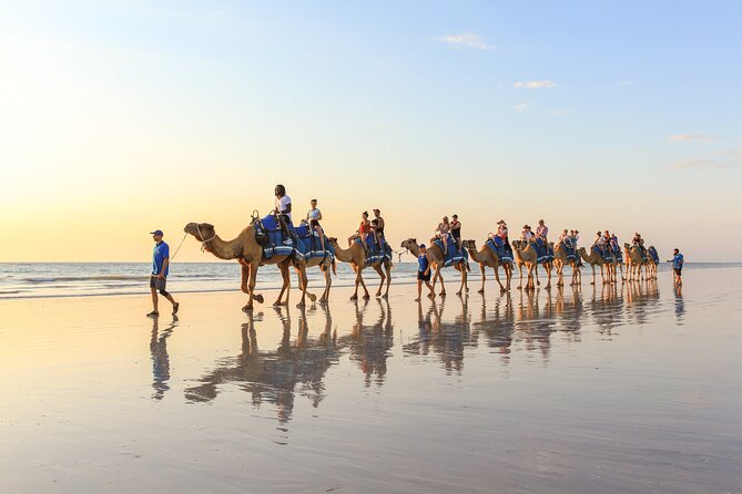 1 Hour Broome Sunset Camel Tour - Weather, Bugs, and What to Bring for a Smooth Ride
