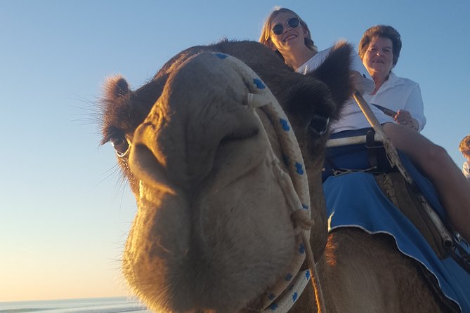 1 Hour Broome Sunset Camel Tour - Who Should Book This Sunset Camel Tour on Cable Beach