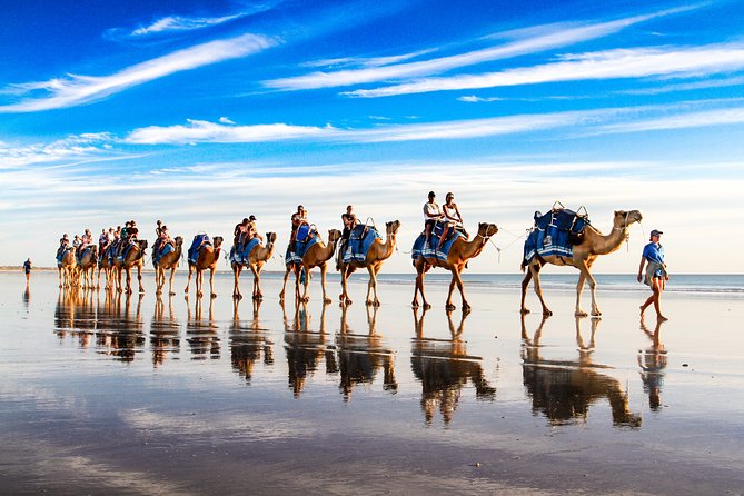 1 Hour Broome Sunset Camel Tour - Meeting Point and Timing: How to Avoid the Stress