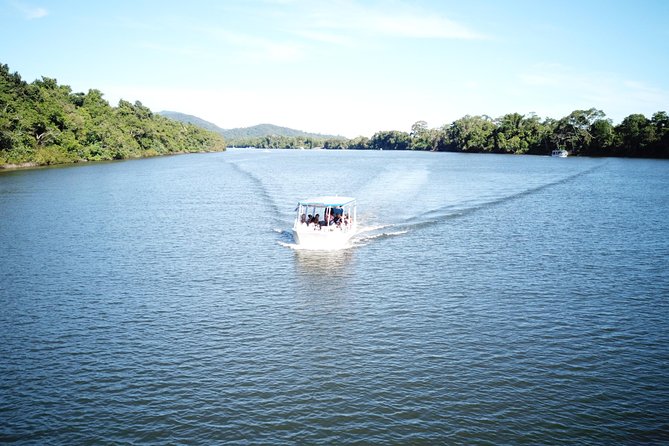 1-Hour Daintree River wildlife cruise - Weather, what to wear, and how not to waste your scan time