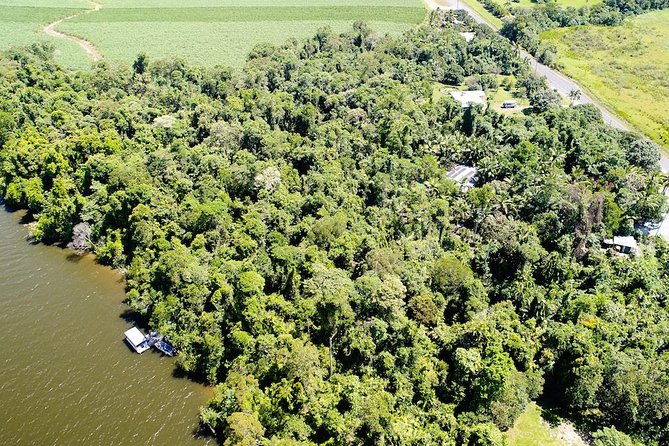 1-Hour Daintree River wildlife cruise - Who this cruise suits best (and who might feel disappointed)