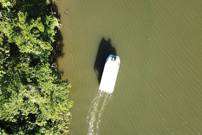 1-Hour Daintree River wildlife cruise - What happens during the cruise, and how the guide makes it click