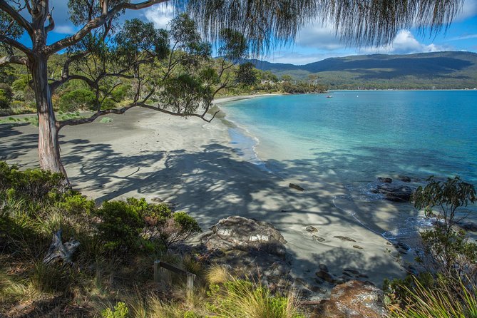 2 Day Tasmanian Highlights Tour - Bruny Island & Port Arthur - What you actually pay for at $219, and what you will likely spend extra