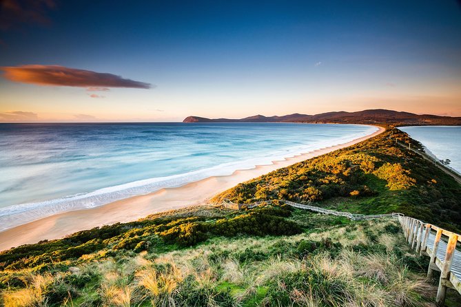 2 Day Tasmanian Highlights Tour - Bruny Island & Port Arthur - Ferry ticket, parks pass, and what to pack for Bruny Island comfort