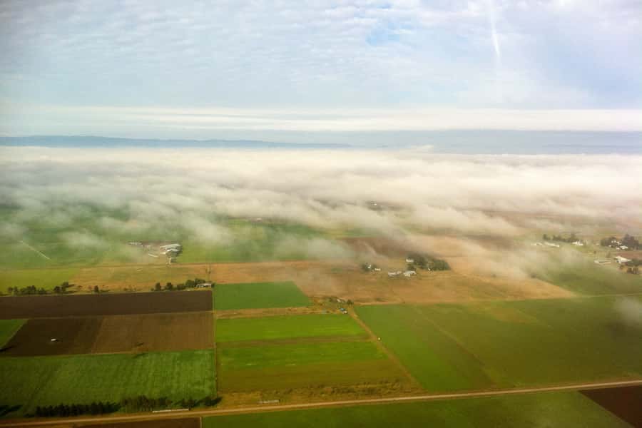 20 Minute Helicopter Scenic Flight Hunter Valley - From Hunter Valley Gardens to Vineyard Country