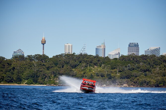 30-Minute Sydney Harbour Jet Boat Thrill Ride - Price and Value: Is $51.07 for 30 Minutes Worth It?