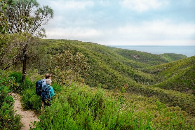 4 Days Private Walking Tour in South Australia - Newland Head Conservation Park to Waitpinga Beach: a coastal finish