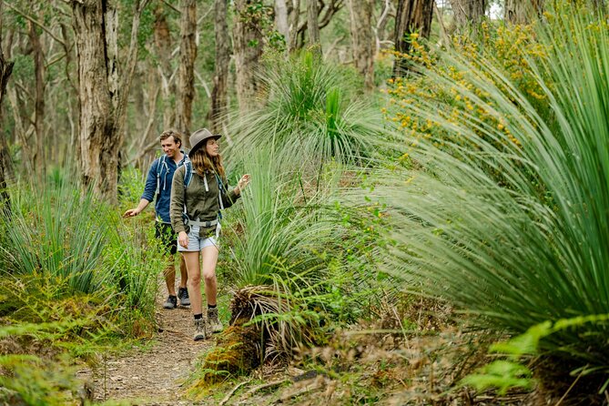 4 Days Private Walking Tour in South Australia - Accommodation and evenings built around local food and wine