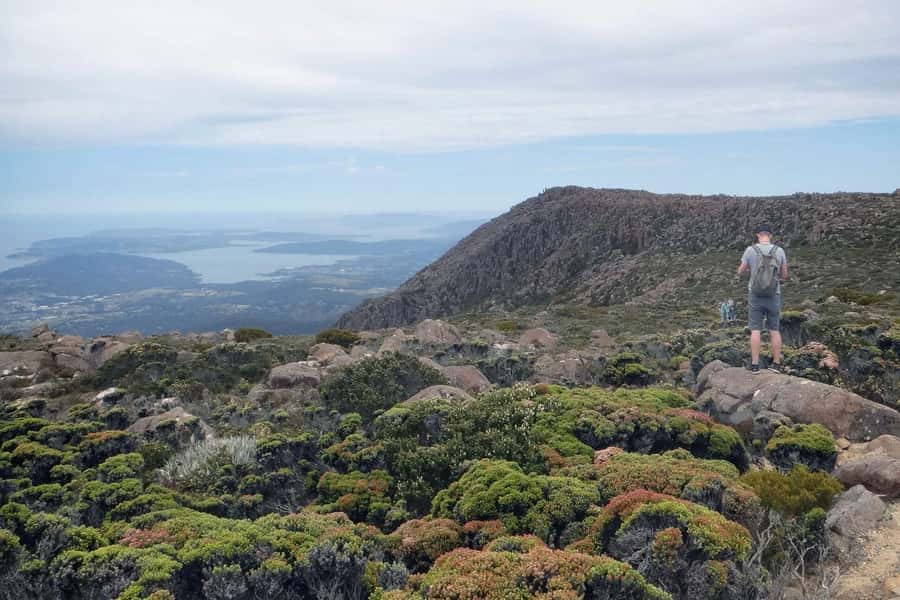 48-Hour Hobart City Loop Tour and Mt Wellington - City Loop on the Red Decker: Open-Top Views Without the Guesswork