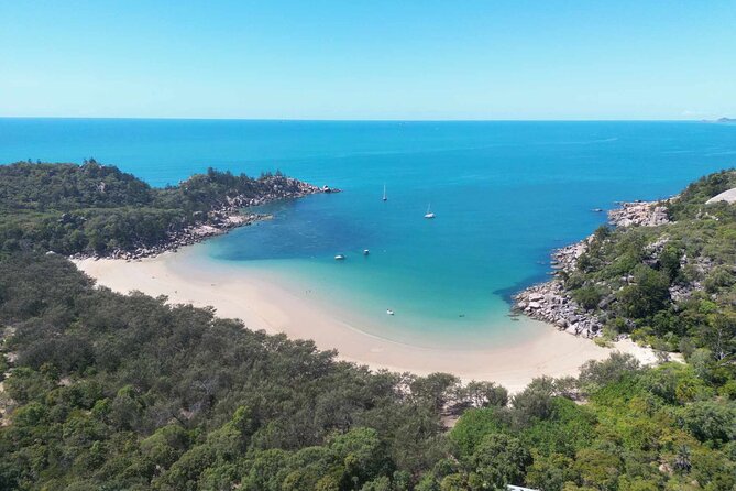 4H Snorkeling and Fishing Cruise on Magnetic Island - Wildlife moments: whales in season, and the bird action you might spot