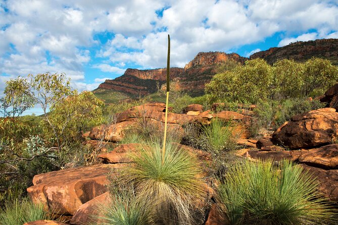 6-Day Eyre Peninsula & Flinders Ranges Adventure Tour - Swag camping, group size, and the active pace