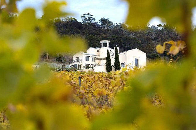 7- 8 Hour StelaVino Guided Wine Tours From Hobart, Tasmania - Price and time: $132.69 buys a full guided day