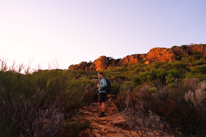 7 Day Adelaide to Uluru Adventure and Cultural Tour - Kanku-Breakaways, Dingo Fence, and Kings Canyon: the desert comes closer