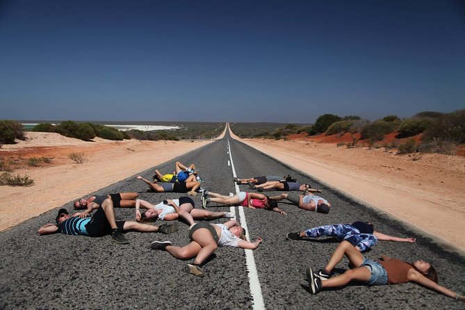7-Day Exmouth Explorer via Pinnacles Monkey Mia Ningaloo Reef returning to Perth - Price and value: what $1,223.26 covers, and where the real costs can appear