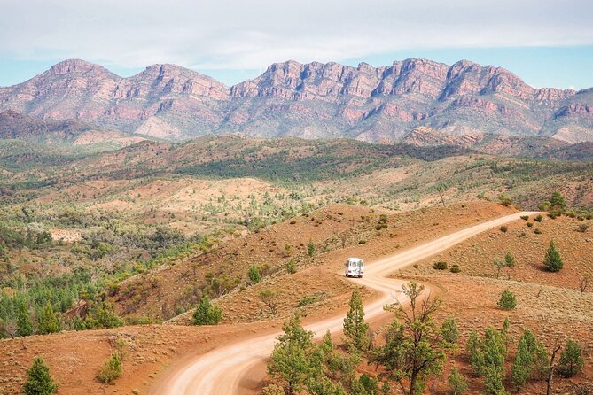 7 Day Uluru to Adelaide Cultural and Adventure Tour - Why this Uluru to Adelaide route feels different (in a good way)