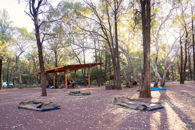 7 Day Uluru to Adelaide Cultural and Adventure Tour - Day 3: Kings Canyon Rim Walk and a working cattle station night