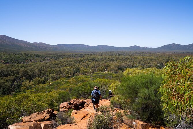 7 Day Uluru to Adelaide Cultural and Adventure Tour - Day 4: The big southbound drive to Coober Pedy