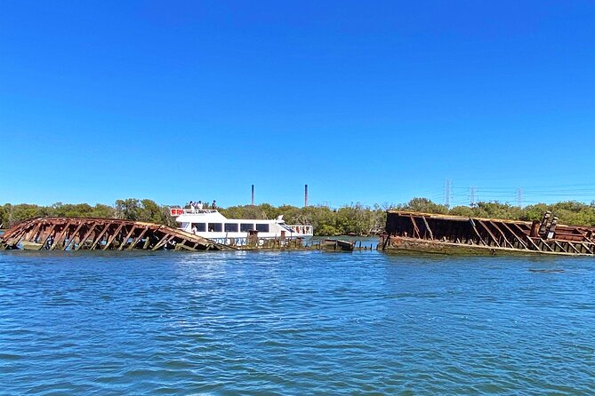 90 Minute Port River Dolphin & Ships Graveyard Cruise - Key highlights to look for