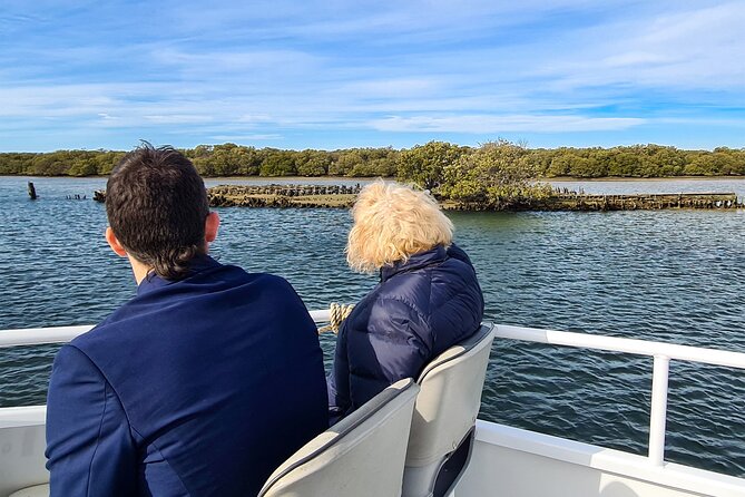 90 Minute Port River Dolphin & Ships Graveyard Cruise - Adelaide Dolphin Sanctuary: spotting bottlenose dolphins the smart way