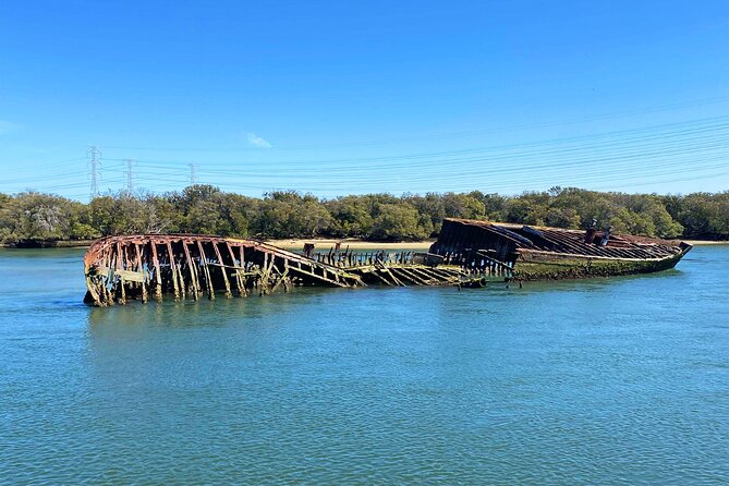 90 Minute Port River Dolphin & Ships Graveyard Cruise - The bird sanctuary glide: why the coast matters