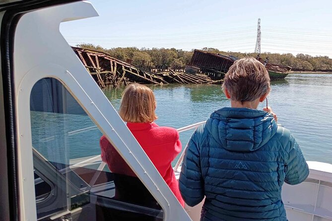 90 Minute Port River Dolphin & Ships Graveyard Cruise - Live commentary and named skippers: the difference between seeing and understanding