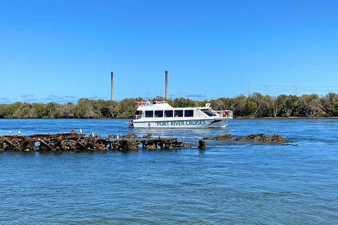 90 Minute Port River Dolphin & Ships Graveyard Cruise - Weather reality: the one trade-off you should plan for