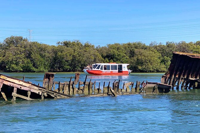 90 Minute Port River Dolphin & Ships Graveyard Cruise - Ships’ Graveyard: photographing wrecks half in silt