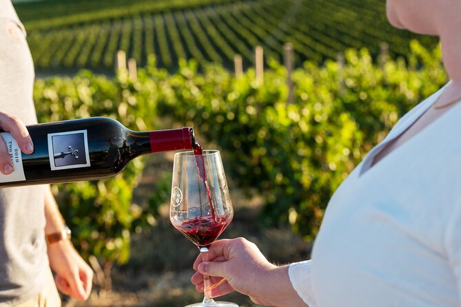 A Truly Barossan Wine Experience - High-End Private Day Tour - Key Highlights You’ll Feel in the Day