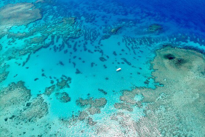 ABC Reef Safaris - Marine biologists on board: reef talk that turns into real sighting skills