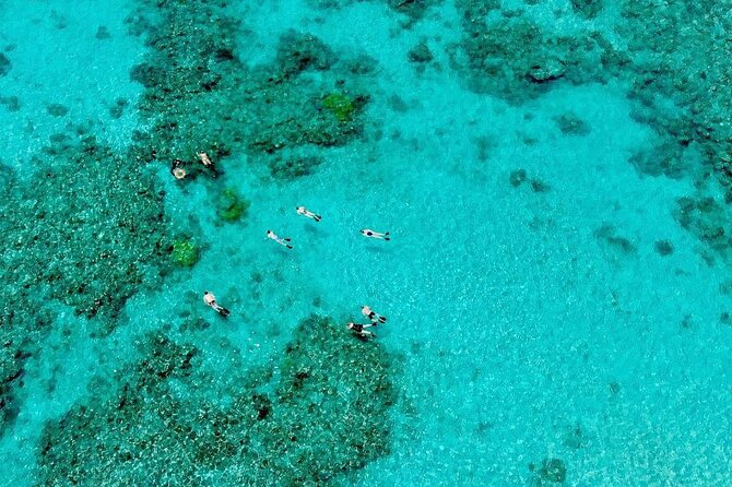 ABC Reef Safaris - Snorkel stops on the outer Great Barrier Reef: calm water and fewer people