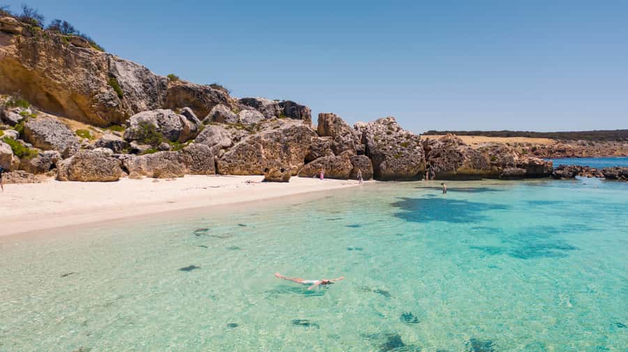 Adelaide: 3-Day Kangaroo Island Adventure Tour with Camping - Should you book this Kangaroo Island camping tour?