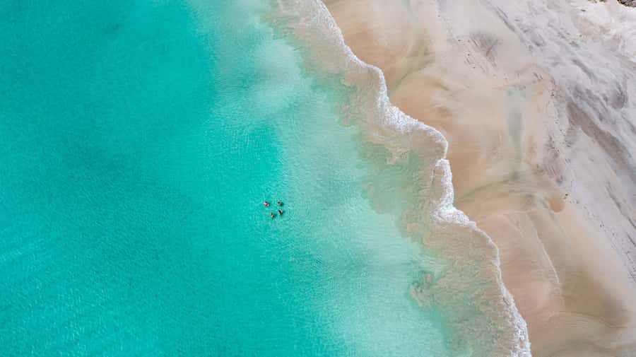Adelaide: 3-Day Kangaroo Island Adventure Tour with Camping - Price and value: is $538 per person worth it?
