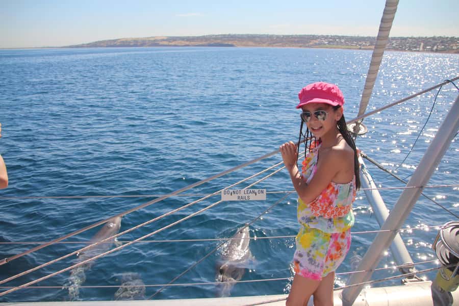 Adelaide: 4-Hour Guaranteed Wild Dolphin Watching Cruise - Wild dolphin spotting in the Gulf: what you should realistically expect