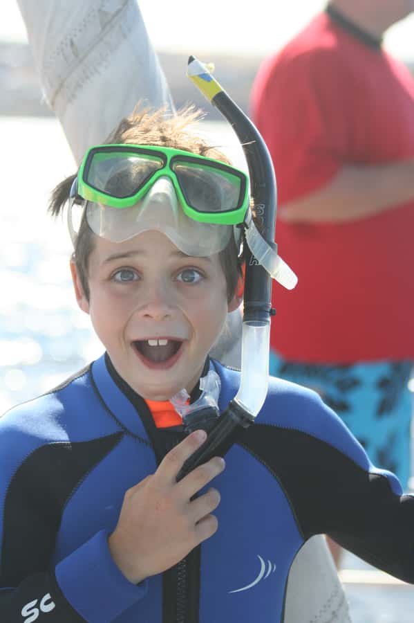 Adelaide: 4-Hour Swimming with Dolphins Experience - Weather planning for an open-water dolphin day near Adelaide