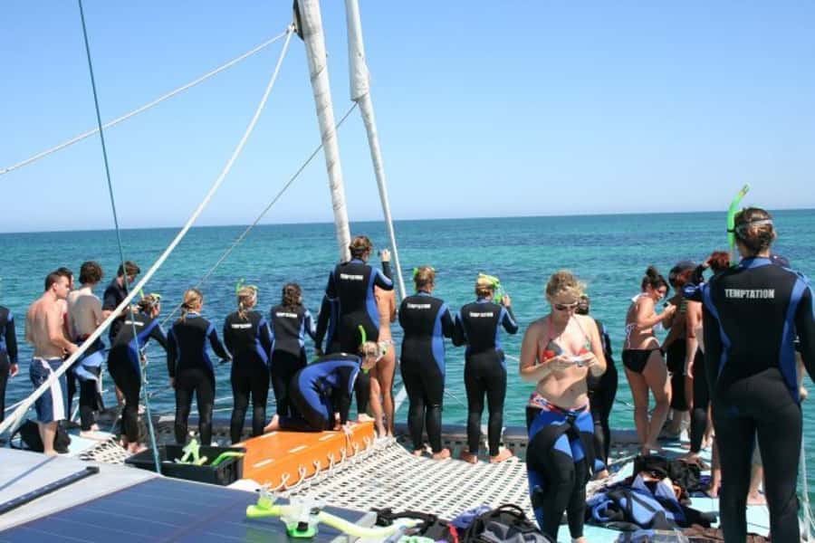 Adelaide: 4-Hour Swimming with Dolphins Experience - Logistics that make your day easier: what to bring and what to wear
