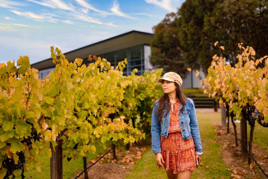 Adelaide: Barossa and Adelaide Hills Tour with Lunch - Key highlights to look for
