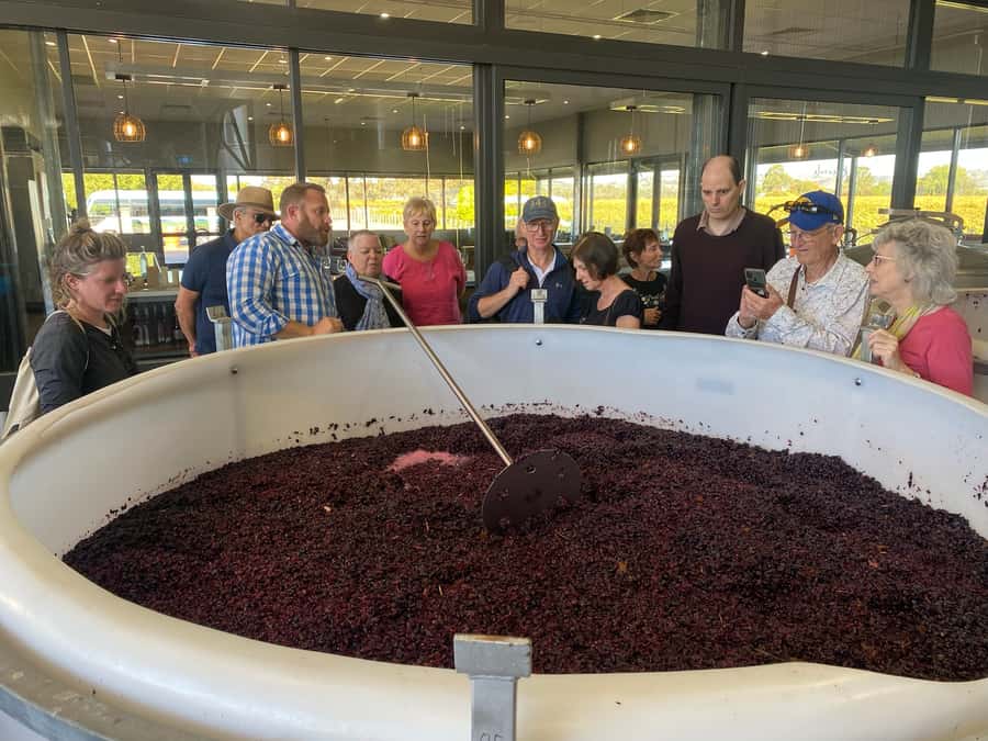 Adelaide: Barossa Premium Wine Tasting tour & Winery Lunch - Riding back to Adelaide: comfortable seats and a chance to recharge