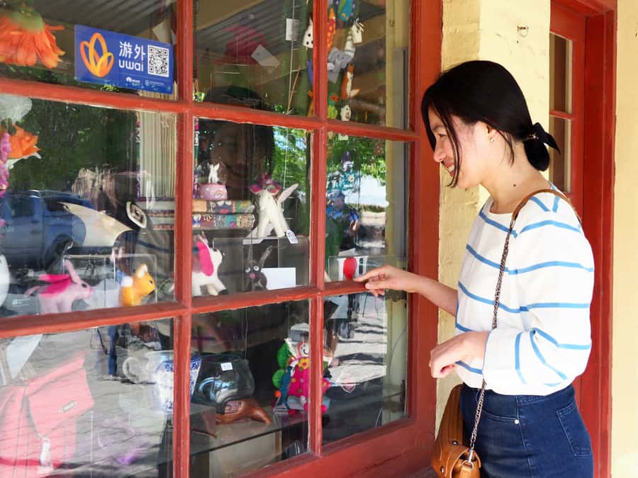 Adelaide: City, Adelaide Hills Villages, and Hahndorf Tour - Price and value: why $118 can be fair for this route