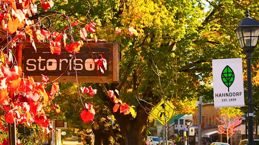 Adelaide City Highlights Half-Day Tour, Mt Lofty & Hahndorf - What This Half-Day Adelaide Highlights Tour Feels Like