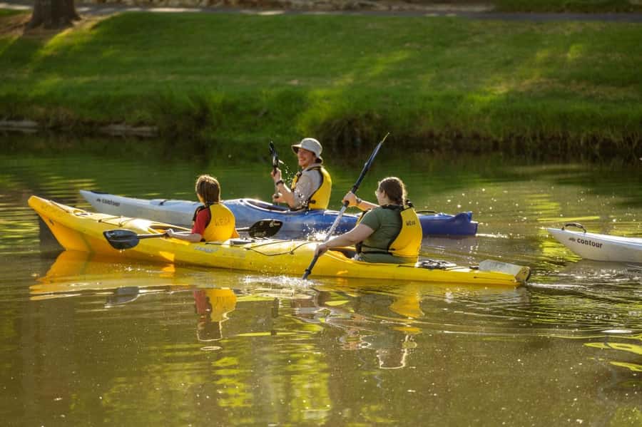 Adelaide: City Kayaking Experience - What to Bring, What to Wear, and Weather Reality in Adelaide