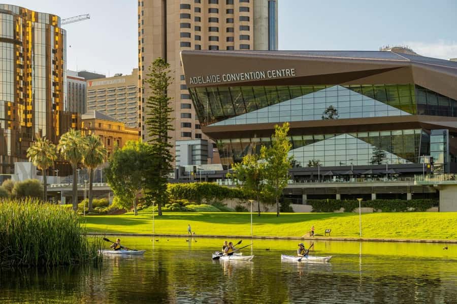 Adelaide: City Kayaking Experience - Price and logistics: what $55 really covers