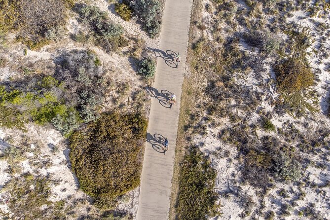 Adelaide City to Sea Bike Tour - Price and value of $97.55 for bikes, guide, morning tea, and a tram ticket