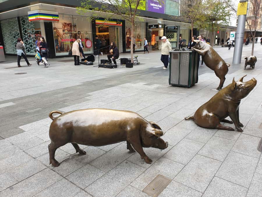 Adelaide: City Walking Tour with Guide - Who should book this Adelaide walking tour