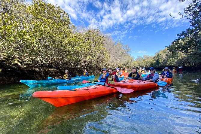 Adelaide Dolphin Sanctuary and Ships Graveyard Kayak Tour - Key highlights I’d prioritize